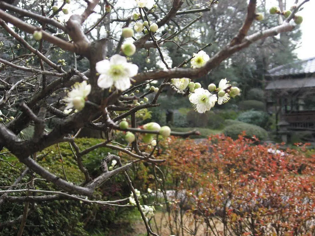 Gosho Nishi Kyoto Heian Hotel